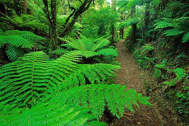 《生化危机9》NS2对比PC版视频 光追效果不错